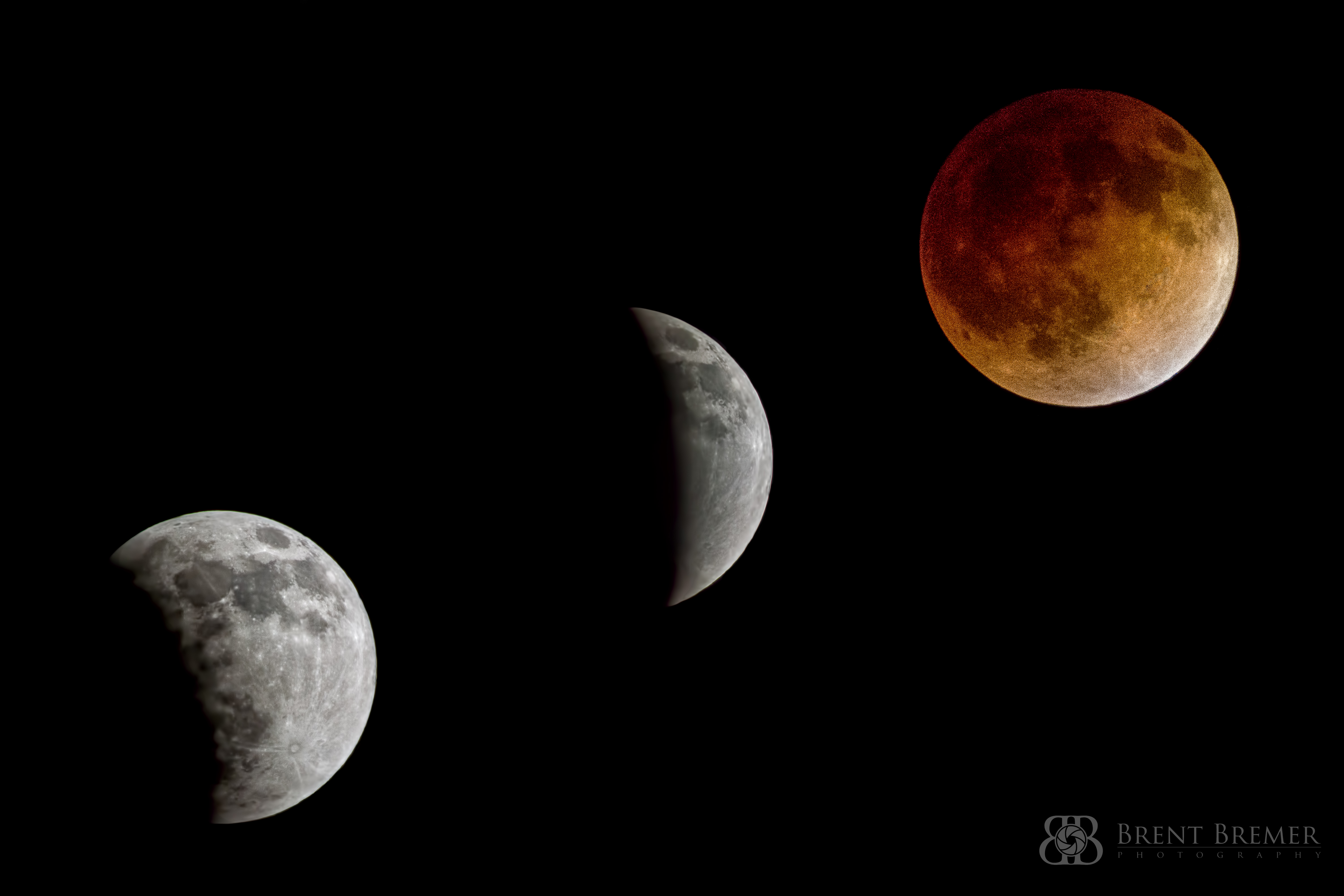 Blood Moon Series