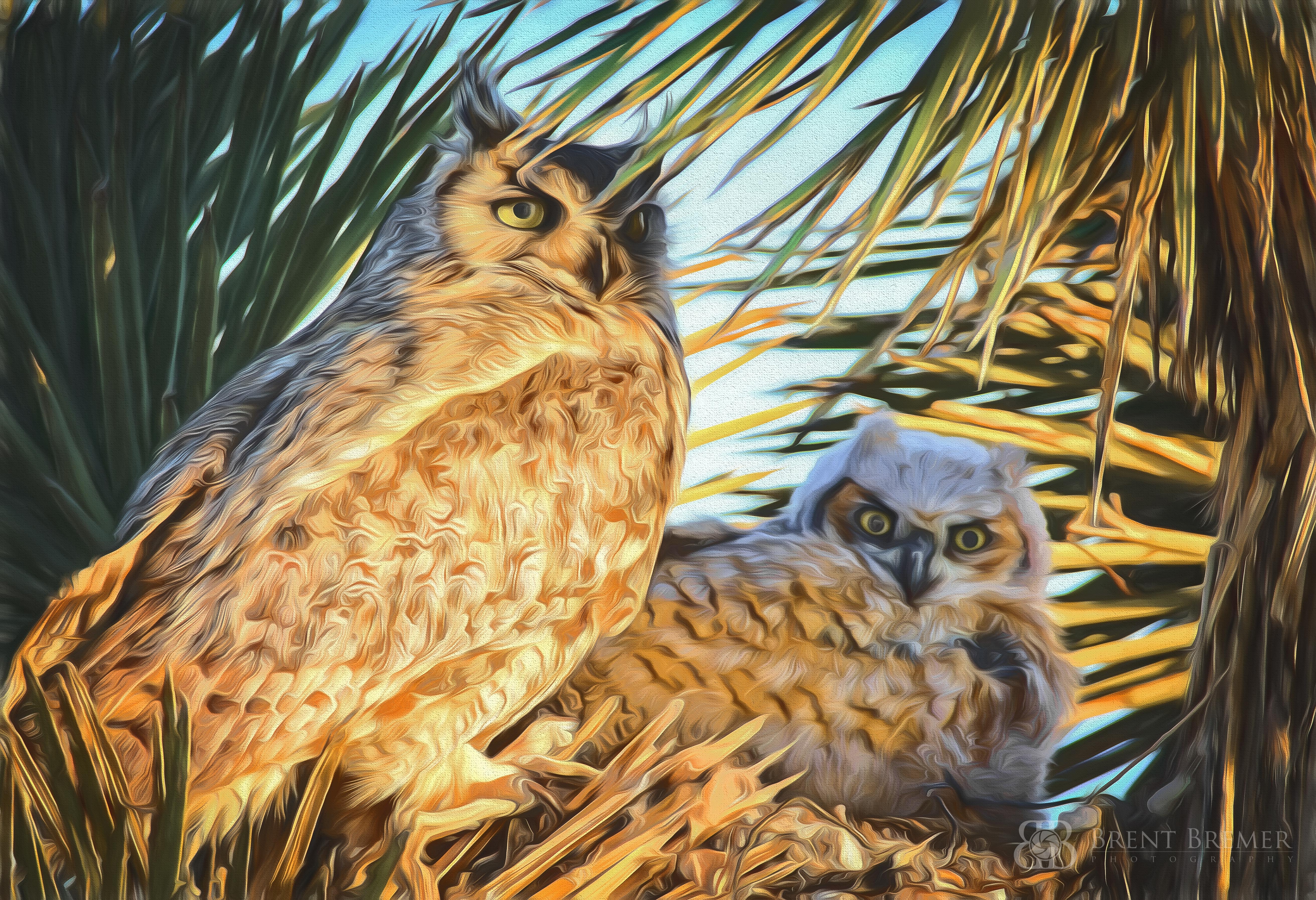 Owl and Owlet Art