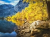 Silver Lake Fall Colors