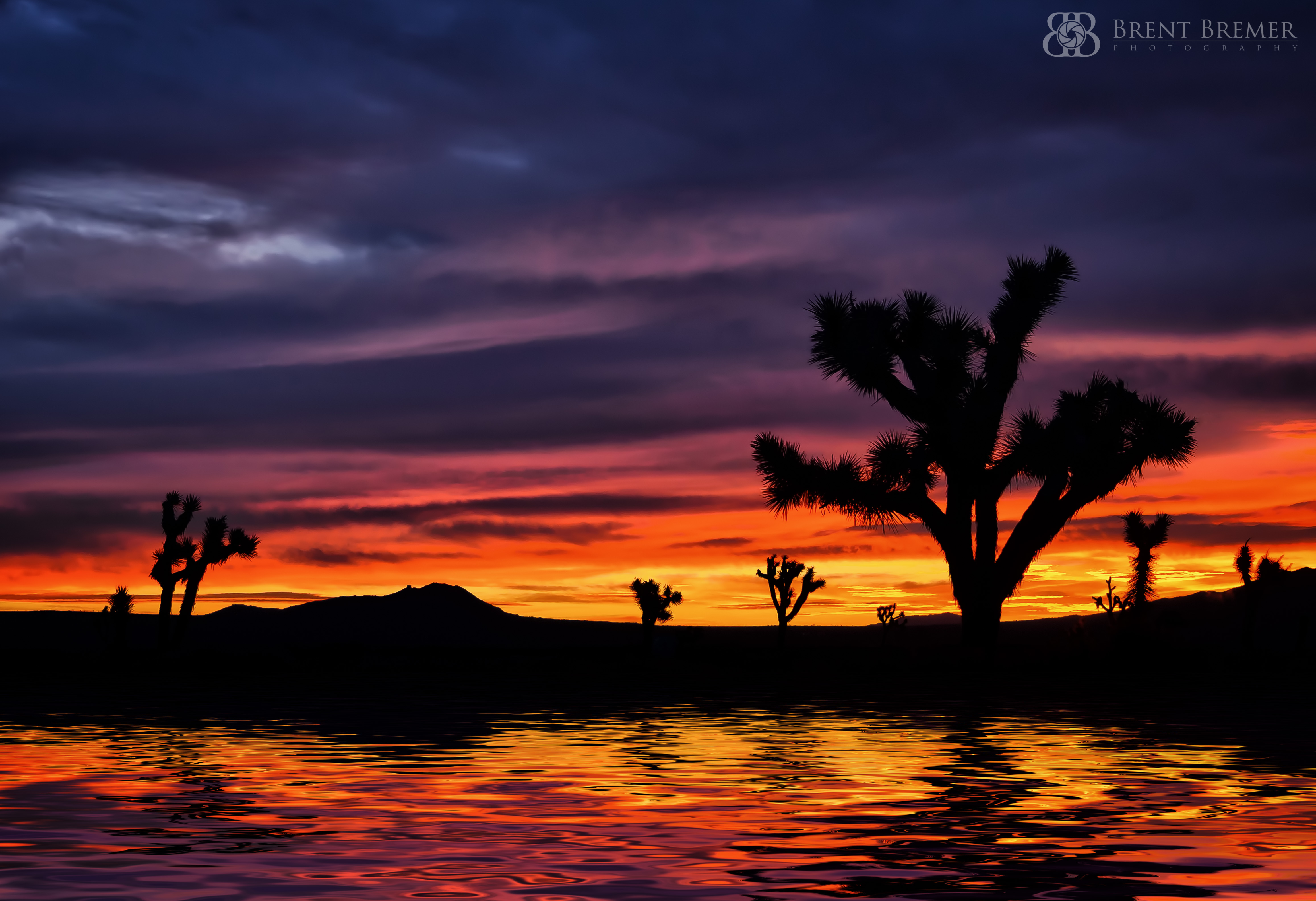 Intense-Desert-Sunrise.jpg