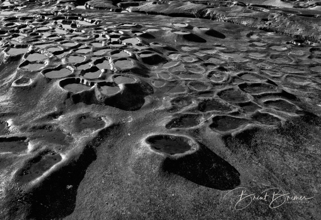 La Jolla Tide Pools Black & White